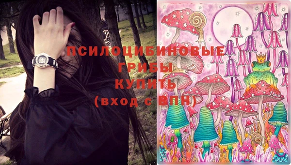 PSILOCYBIN Абинск