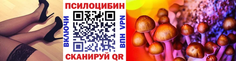 наркота  Иннополис  Галлюциногенные грибы GOLDEN TEACHER 